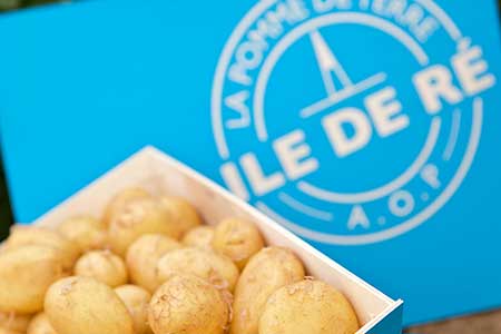 The Protected Designation of Origin Ile de Ré Potato