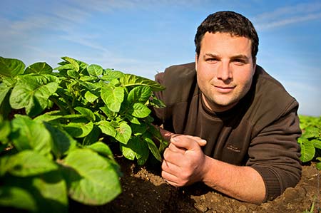 producers of PDO potatoes from Ré island