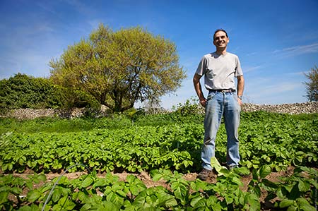 producers of PDO potatoes from Ré island