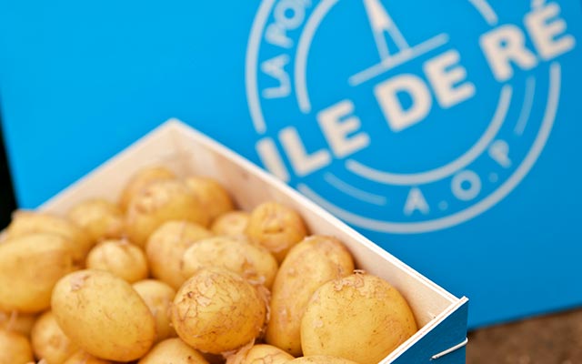 pommes de terre AOP Appellation d'Origine Protégée