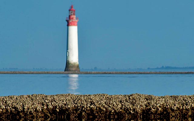 l'île de ré