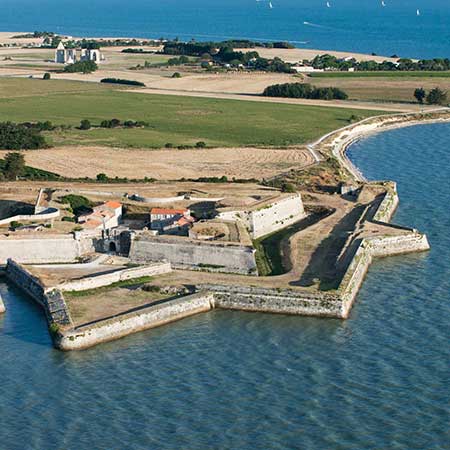 île de Ré terroir de la pomme de terre AOP