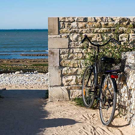 île de Ré terroir de la pomme de terre AOP