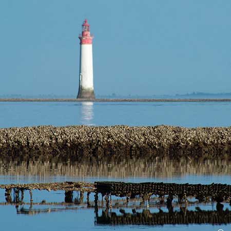 île de Ré terroir de la pomme de terre AOP