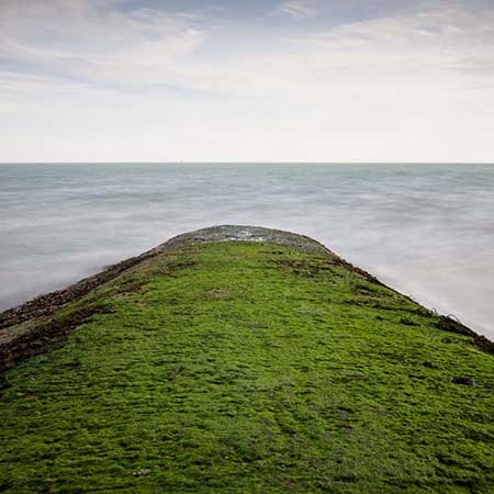 Ré Island, Potato PDO terroir