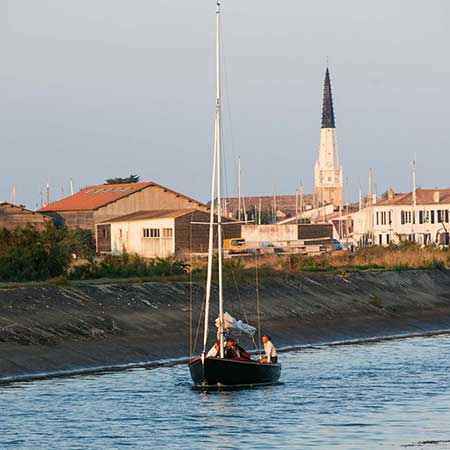 île de Ré terroir de la pomme de terre AOP