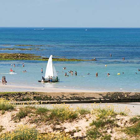 île de Ré terroir de la pomme de terre AOP