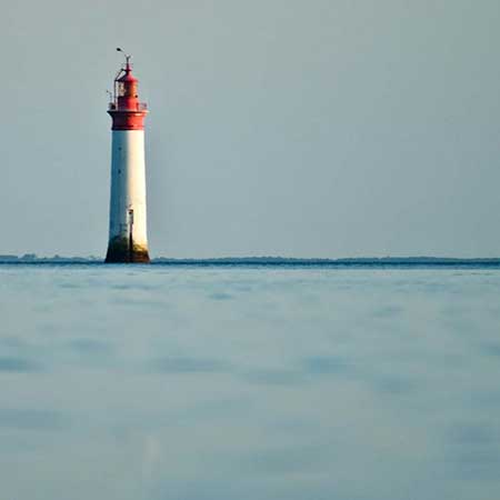 île de Ré terroir de la pomme de terre AOP