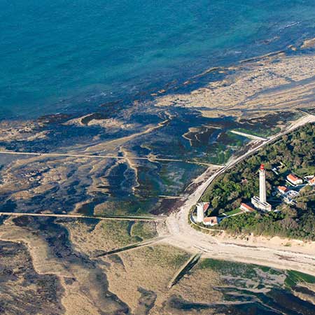 Ré Island, Potato PDO terroir